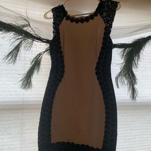 Bailey 44 Tan and black dress